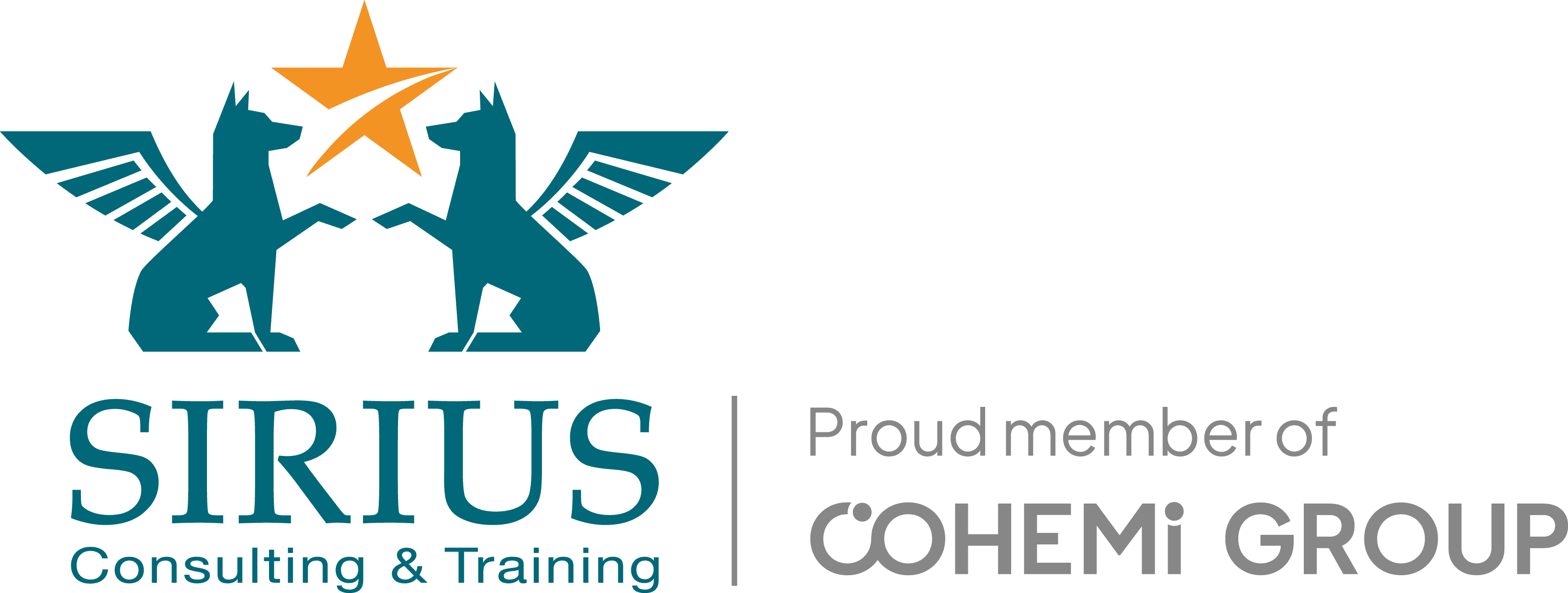 SIRIUS Consulting & Training GmbH