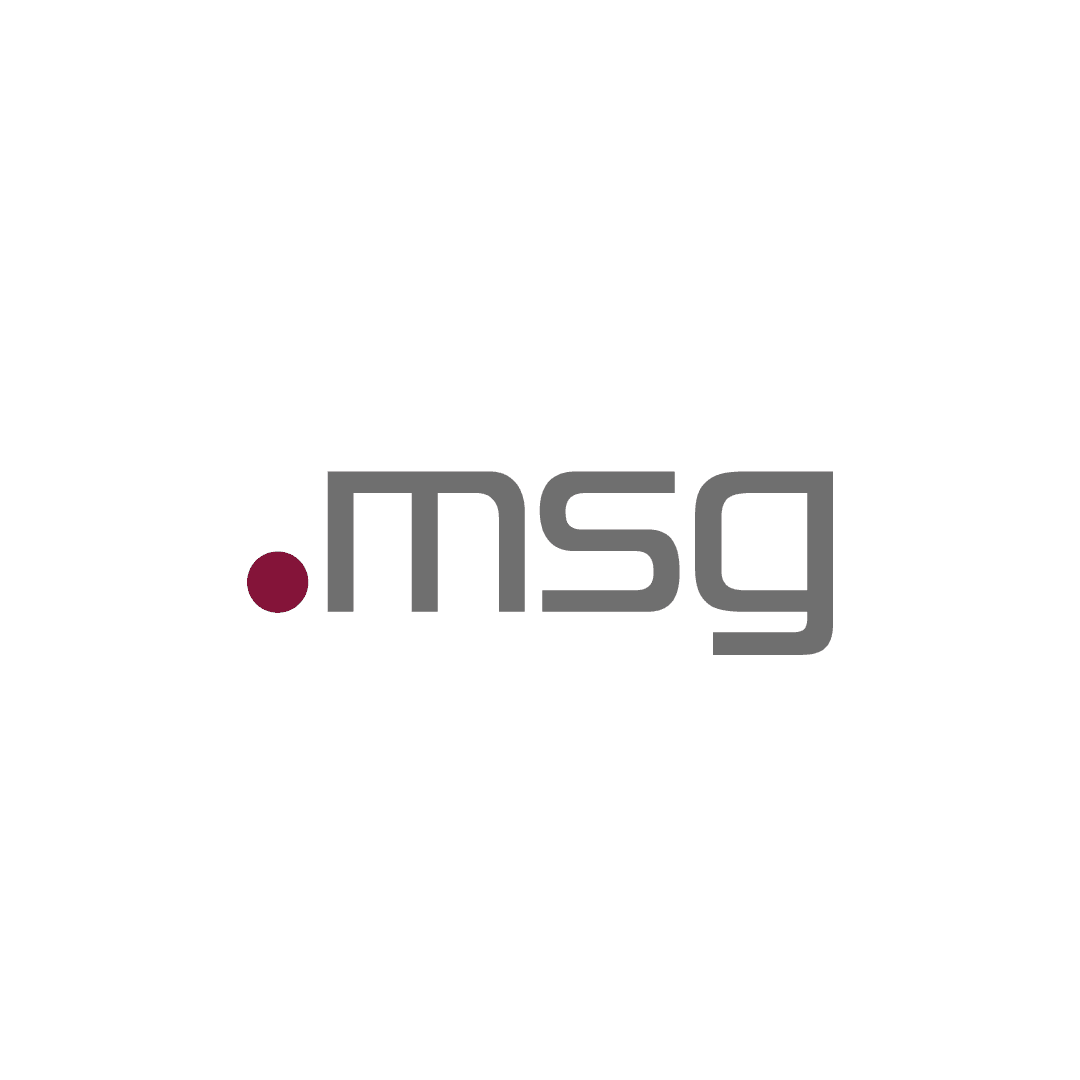 msg Logo: roter Punkt, daneben graue Buchstaben