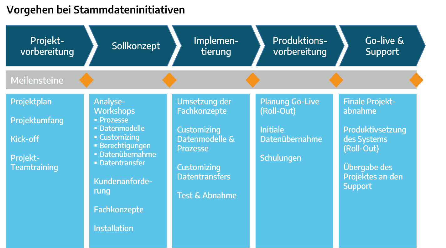 Grafik zum Vorgehen bei Stammdateninitiativen